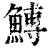 𩹲(印刷字体·清·康熙字典)