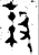 𬆤(金文·西周·西周早期)