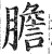 胆(印刷字体·明·洪武正韵)
